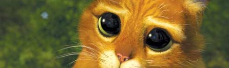 Leur Arme ULTIME: Les Yeux du chat Potté !