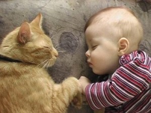 bébé et chaton