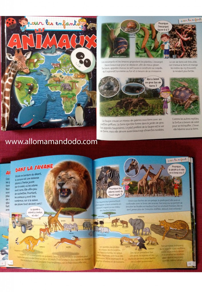 livre animaux enfants