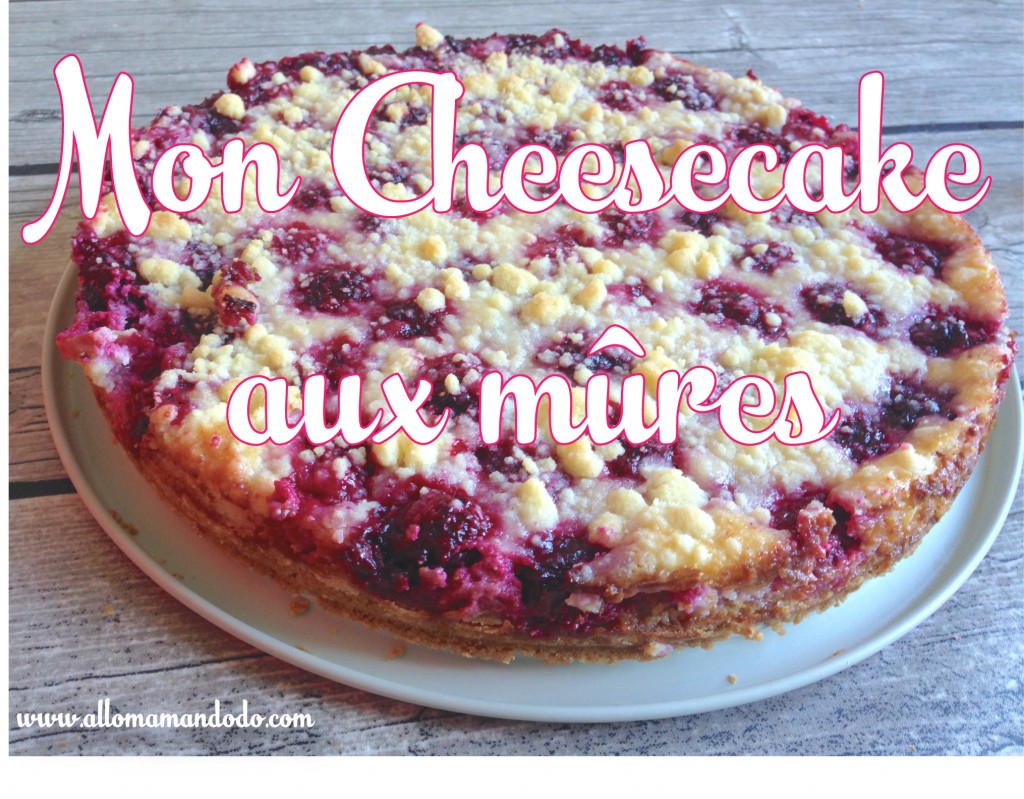 mon cheesecake aux mures