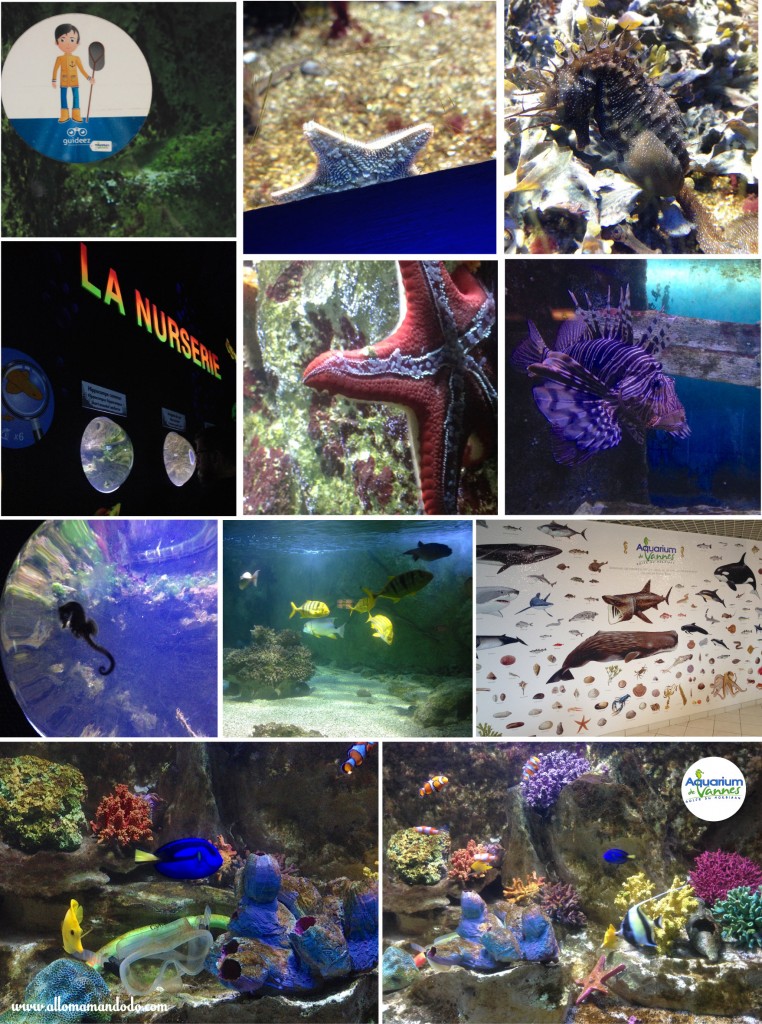 aquarium de vannes avis