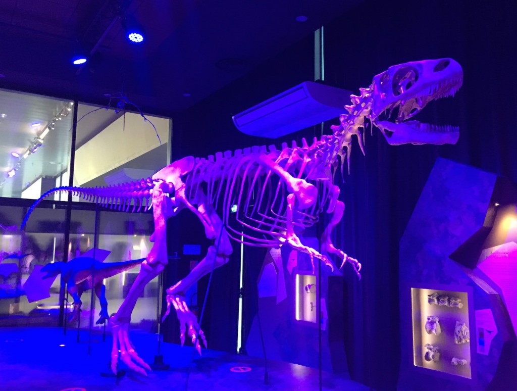 musée dinosaures normandie